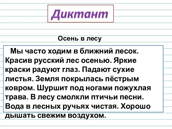 Мы часто ходим в ближний лесок. Красив русский лес осенью. Яркие краски радуют