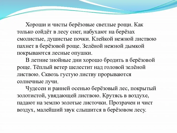 Хороши и чисты берёзовые светлые рощи. Как только сойдёт в