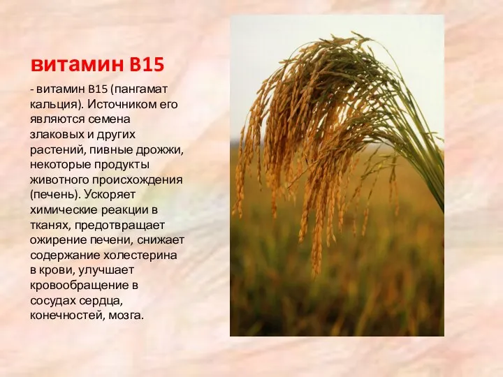 витамин B15 - витамин B15 (пангамат кальция). Источником его являются семена злаковых и