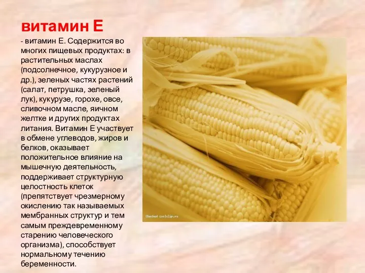 витамин Е - витамин Е. Содержится во многих пищевых продуктах: в растительных маслах