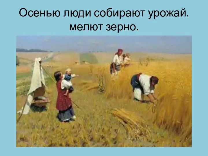 Осенью люди собирают урожай. мелют зерно.