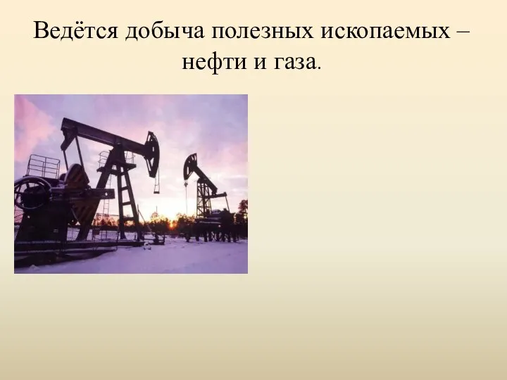 Ведётся добыча полезных ископаемых – нефти и газа.