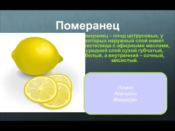 Померанец Померанец – плод цитрусовых, у которых наружный слой имеет вместилища с эфирными