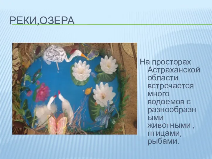 Реки,озера На просторах Астраханской области встречается много водоемов с разнообразными животными , птицами, рыбами.