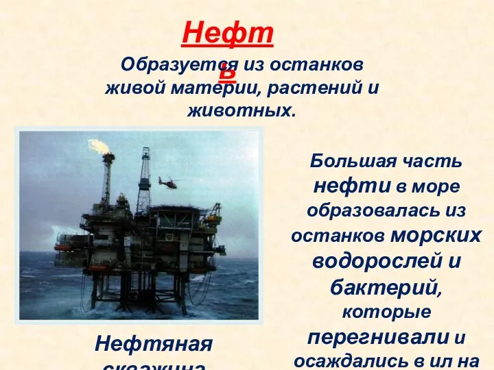 Нефть Образуется из останков живой материи, растений и животных. Большая