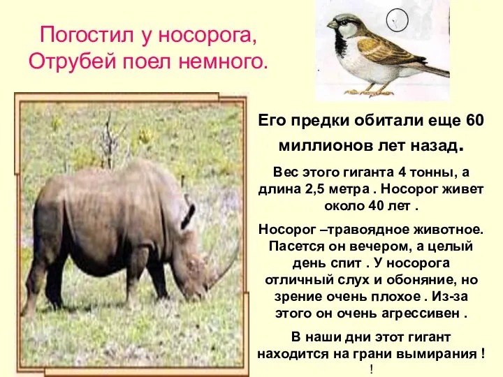 . Погостил у носорога, Отрубей поел немного. Его предки обитали