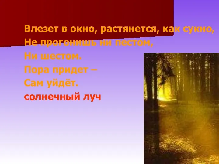 Влезет в окно, растянется, как сукно, Не прогонишь ни пестом,