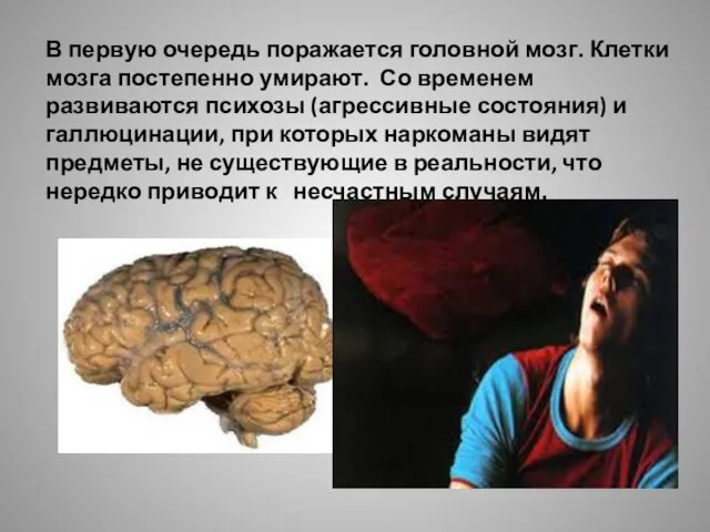 В первую очередь поражается головной мозг. Клетки мозга постепенно умирают.