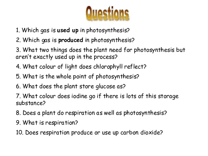 Questions 1. Which gas is used up in photosynthesis? 2. Which gas is