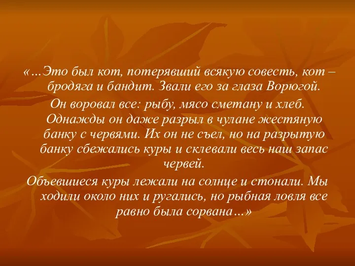 «…Это был кот, потерявший всякую совесть, кот – бродяга и