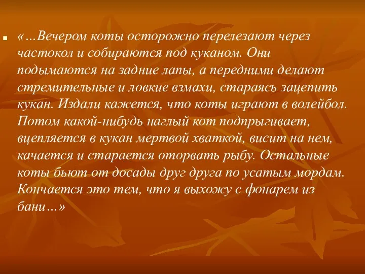 «…Вечером коты осторожно перелезают через частокол и собираются под куканом.