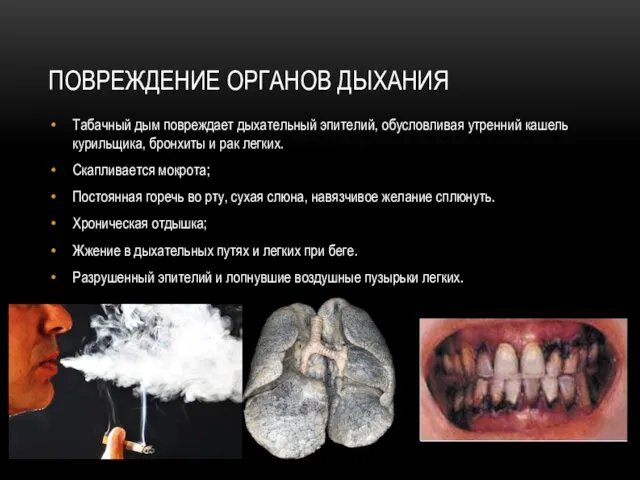 ПОВРЕЖДЕНИЕ ОРГАНОВ ДЫХАНИЯ Табачный дым повреждает дыхательный эпителий, обусловливая утренний