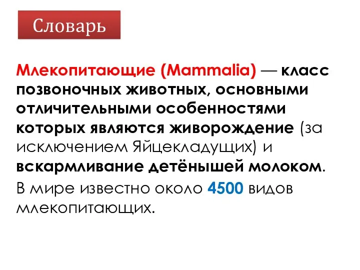 Словарь Млекопитающие (Mammalia) — класс позвоночных животных, основными отличительными особенностями