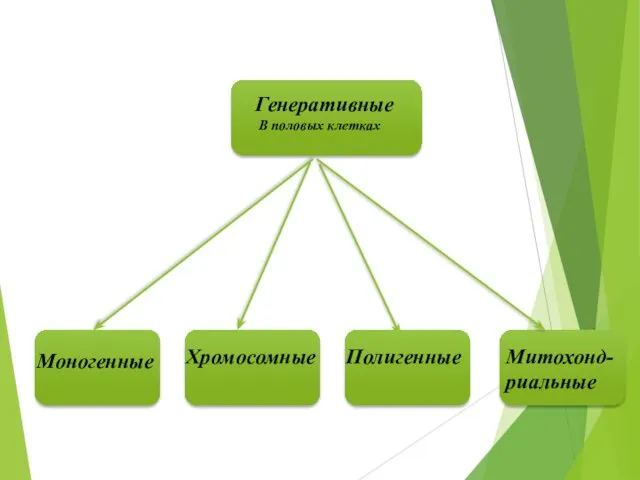 Генеративные В половых клетках Моногенные Хромосомные Полигенные Митохонд-риальные
