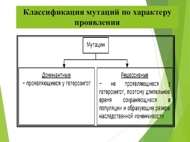 Классификация мутаций по характеру проявления