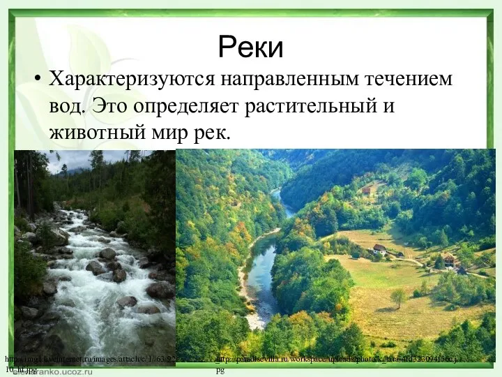 Реки Характеризуются направленным течением вод. Это определяет растительный и животный мир рек. http://img1.liveinternet.ru/images/attach/c/1//63/929/63929703_P7306310_hf.jpg http://paradisevilla.ru/workspace/uploads/photo/k_tara-4fd323094f56c.jpg