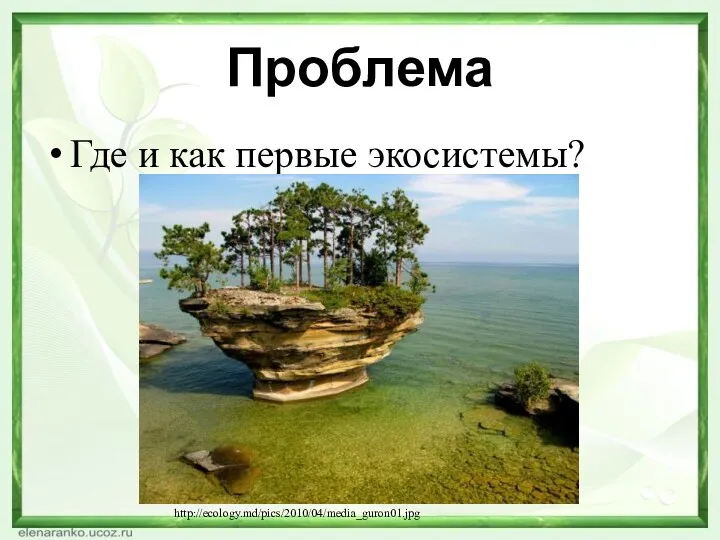 Проблема Где и как первые экосистемы? http://ecology.md/pics/2010/04/media_guron01.jpg