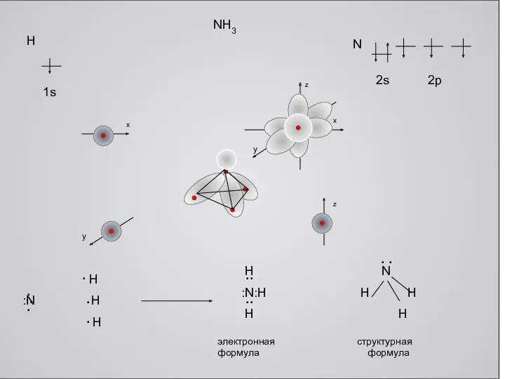 x x z N H 2s 2p 1s y y z NH3 электронная формула структурная формула