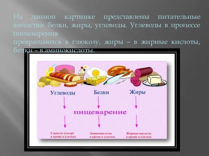 На данной картинке представлены питательные вещества: белки, жиры, углеводы. Углеводы