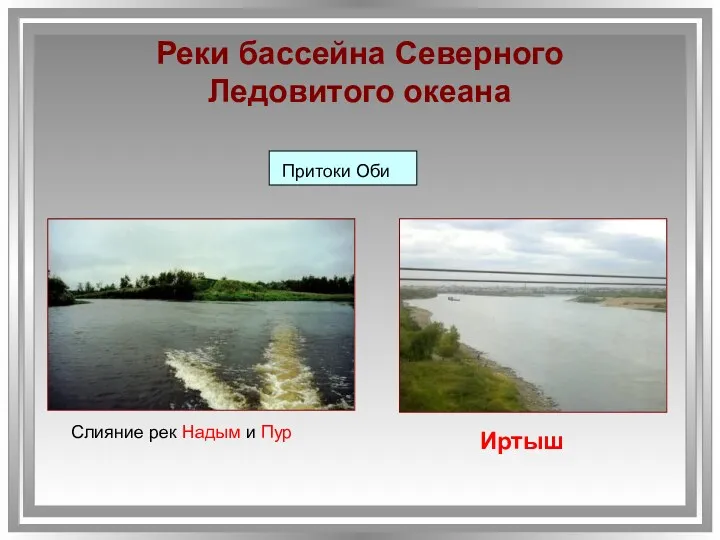 Реки бассейна Северного Ледовитого океана Слияние рек Надым и Пур Притоки Оби Иртыш