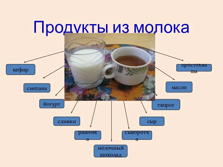 Продукты из молока кефир творог сливки сметана масло йогурт сыворотка молочный шоколад сыр ряженка простокваша