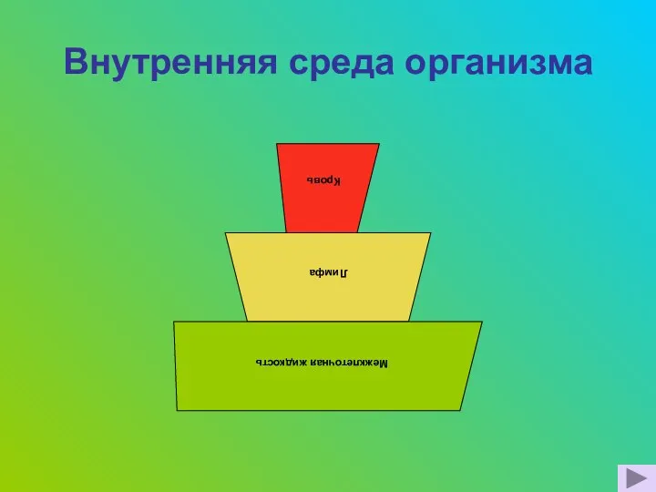 Внутренняя среда организма