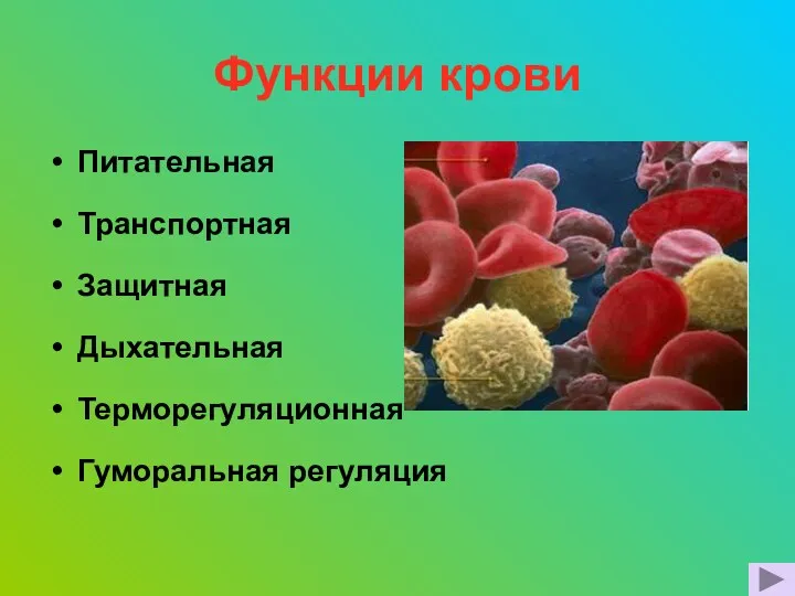 Функции крови Питательная Транспортная Защитная Дыхательная Терморегуляционная Гуморальная регуляция