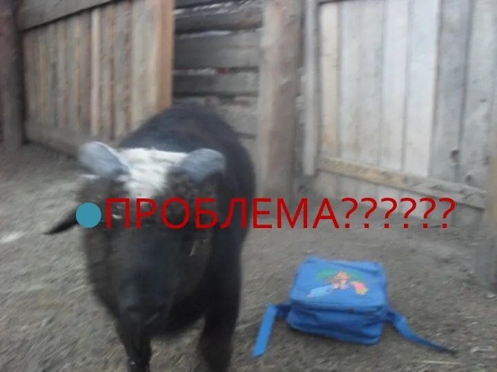 ПРОБЛЕМА??????