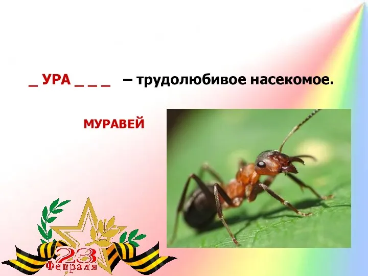 _ УРА _ _ _ – трудолюбивое насекомое. МУРАВЕЙ