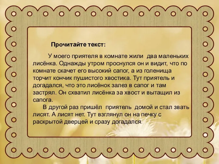 У моего приятеля в комнате жили два маленьких лисёнка. Однажды