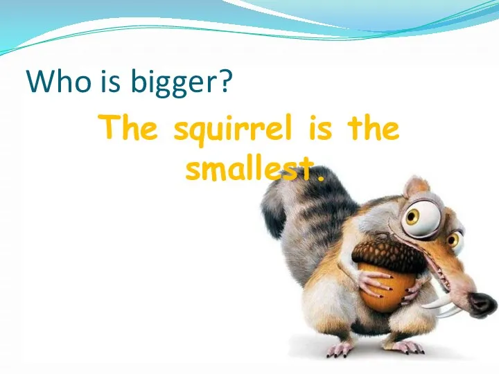 Who is bigger? The squirrel is the smallest.