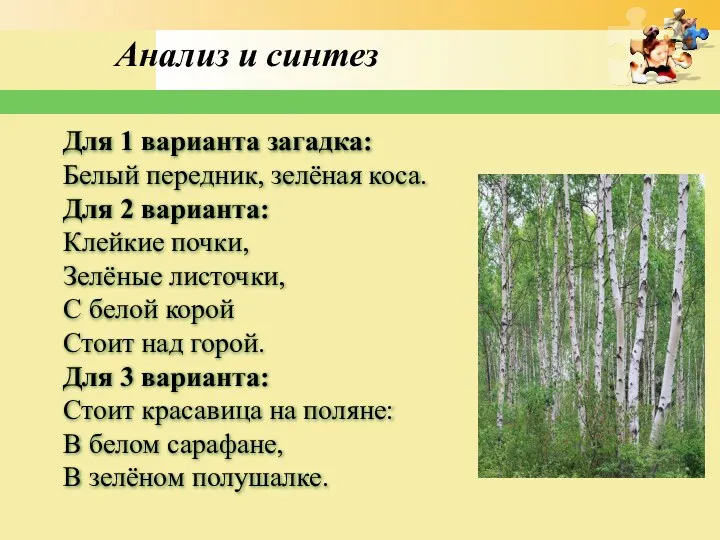 Анализ и синтез Для 1 варианта загадка: Белый передник, зелёная