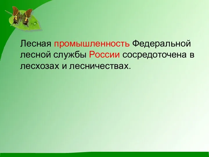 Лесная промышленность Федеральной лесной службы России сосредоточена в лесхозах и лесничествах.