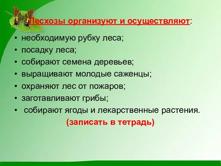 Лесхозы организуют и осуществляют: необходимую рубку леса; посадку леса; собирают семена деревьев; выращивают