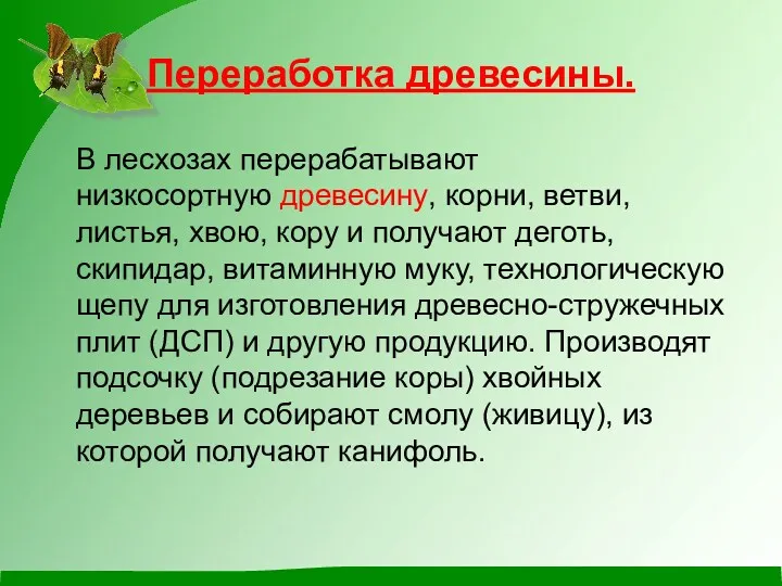 Переработка древесины. В лесхозах перерабатывают низкосортную древесину, корни, ветви, листья, хвою, кору и