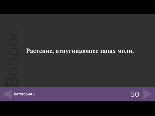 Растение, отпугивающее запах моли. 50 Категория 5