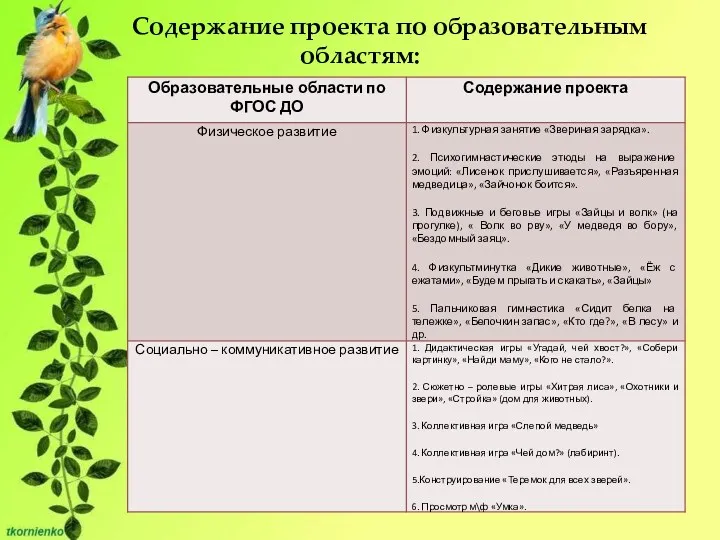 Содержание проекта по образовательным областям: