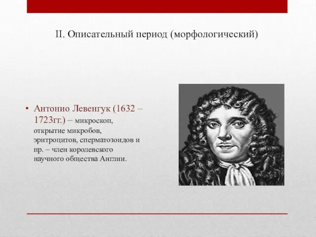 II. Описательный период (морфологический) Антонио Левенгук (1632 – 1723гг.) –