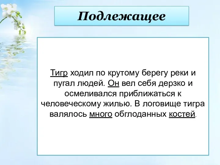 Подлежащее Тигр ходил по крутому берегу реки и пугал людей.