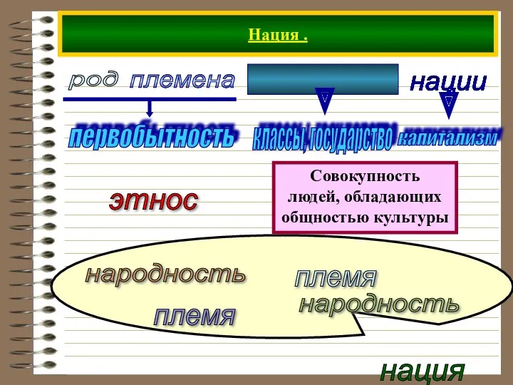 Нация . племена __________ нации род нация племя племя народность народность