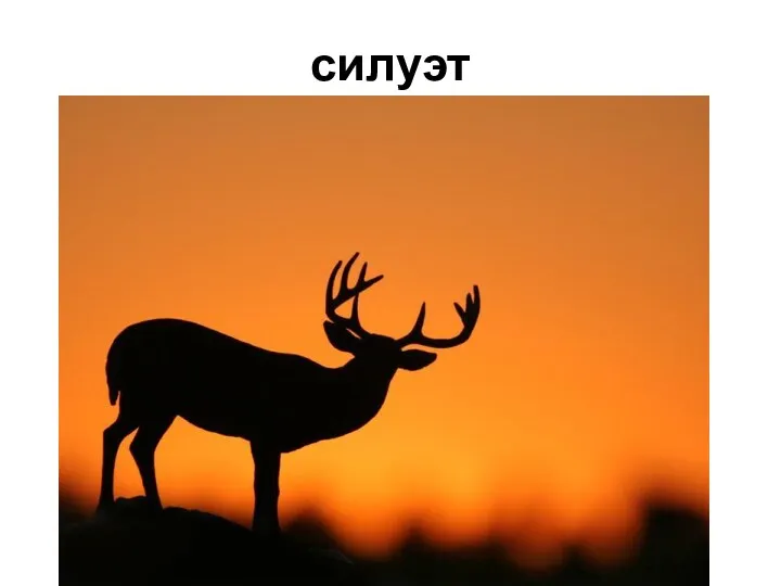 силуэт