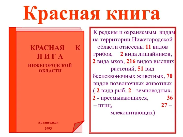 Красная книга К редким и охраняемым видам на территории Нижегородской области отнесены 11