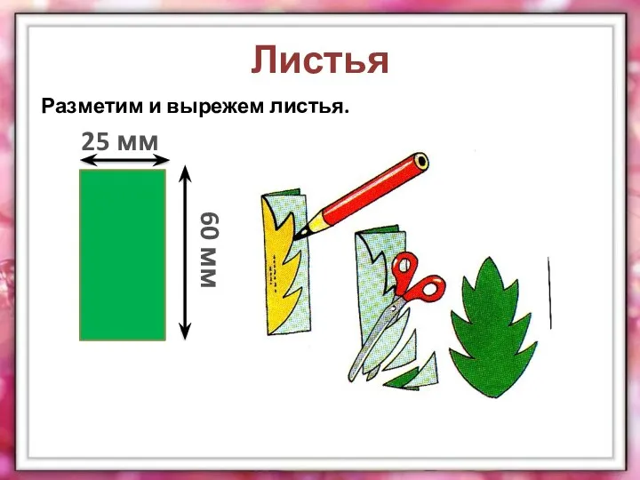 Листья Разметим и вырежем листья. 25 мм 60 мм