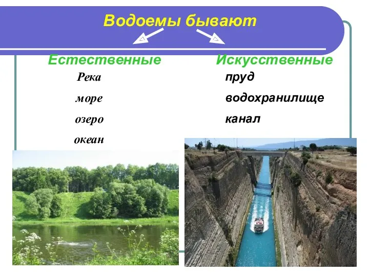 Водоемы бывают Естественные Искусственные Река море озеро океан пруд водохранилище канал