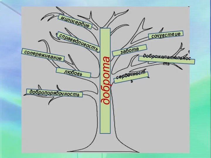 сострадание справедливость любовь доброта милосердие сердечность забота доброжелательность сопереживание сочувствие добропорядочность