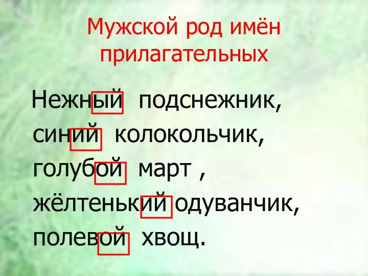 Мужской род имён прилагательных Нежный подснежник, синий колокольчик, голубой март , жёлтенький одуванчик, полевой хвощ.