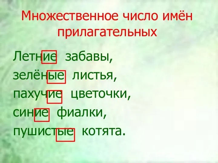 Множественное число имён прилагательных Летние забавы, зелёные листья, пахучие цветочки, синие фиалки, пушистые котята.