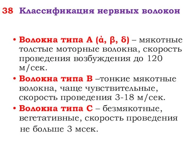 38 Классификация нервных волокон Волокна типа А (ά, β, δ)