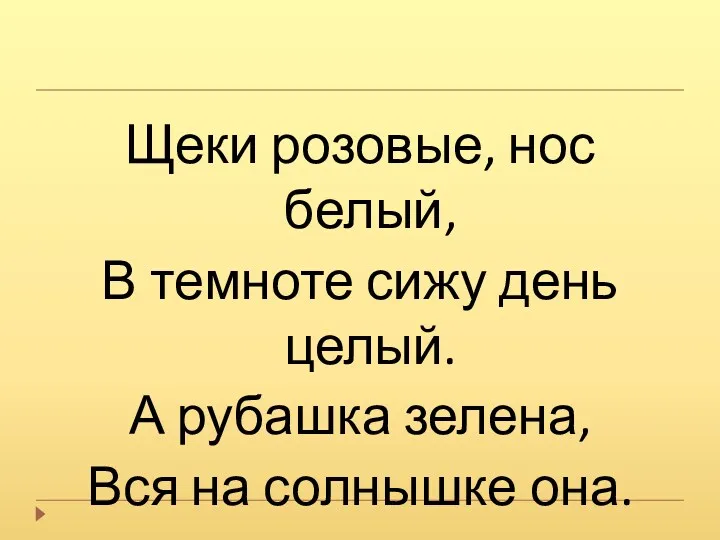 Щеки розовые, нос белый, В темноте сижу день целый. А рубашка зелена, Вся на солнышке она.