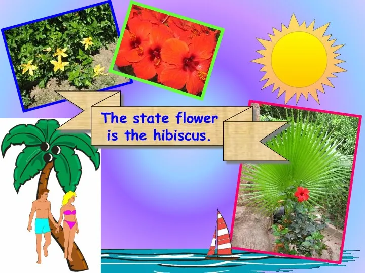 The state flower is the hibiscus.